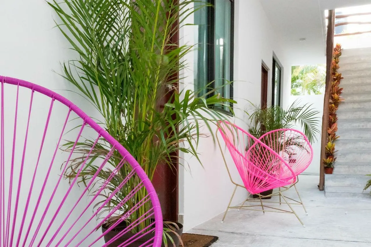Hotel Dewl Estudios & Residences : The Kahlo Playa del Carmen